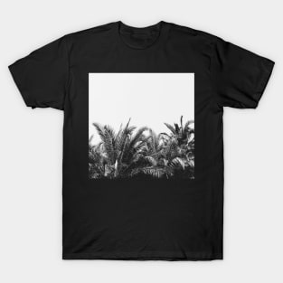 Palm Breeze T-Shirt